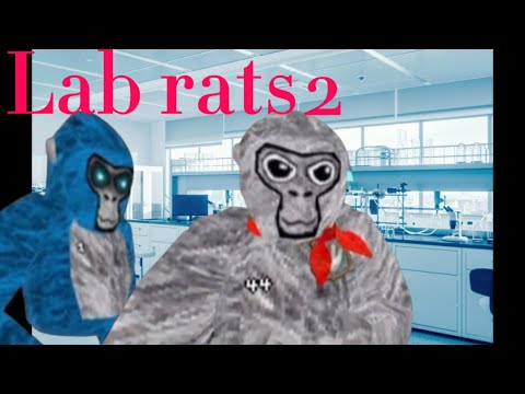 LAB RATS PART 2 - YouTube