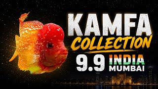 Kamfa Collection June 2026 at 9.9 India Fish Aquarium, Kurla, Mumbai