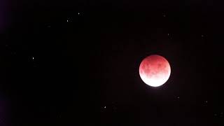 Lunar Eclipse - New Zealand - 26/05/2021