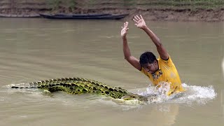 Crocodile Attack Hunter at Fishing Time | Fun Made Movie of Crocodile Attack 