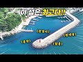입질이 쉴틈 없네 방파제 낚시 이 섬에 살고 싶다 입질이 쉴틈 없네 방파제 낚시 이 섬에 살고 싶다