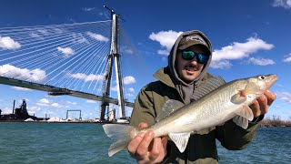 Detroit River Walleye Jigging  April 6th, 2024