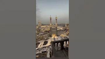 May 21 2025 