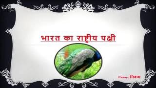 Bird essay in hindi