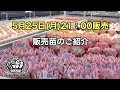5月25日(月)21:00販売✨販売苗のご紹介✨