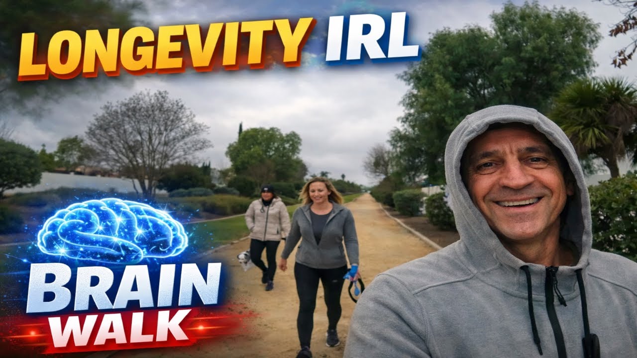 Прогулка по мозгу в реальной жизни #2