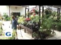 Grayco Commercial 30 Grayco Commercial 30