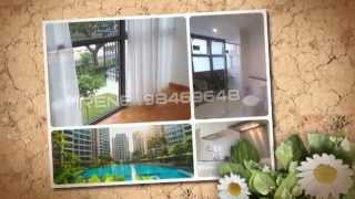 8Courtyards 1-bedroom for rent. 98469648 www.irenehomes.com