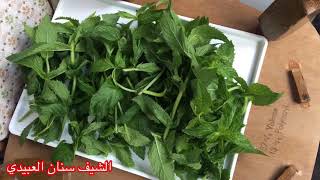 واخيرا(البطنج)في أوروبا موجود(نعناع الغابات)(البري)شيف سنان العبيديSinan Salih Waldminze forest mint