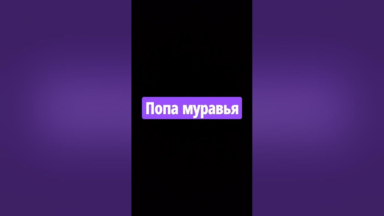 попа муравья - YouTube