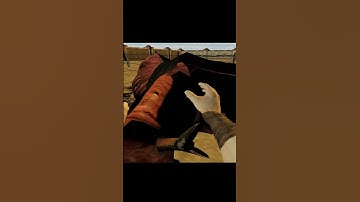 Brahmin-Tipping #Shorts