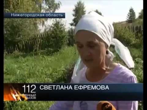 Новости за сегодня в мире науки