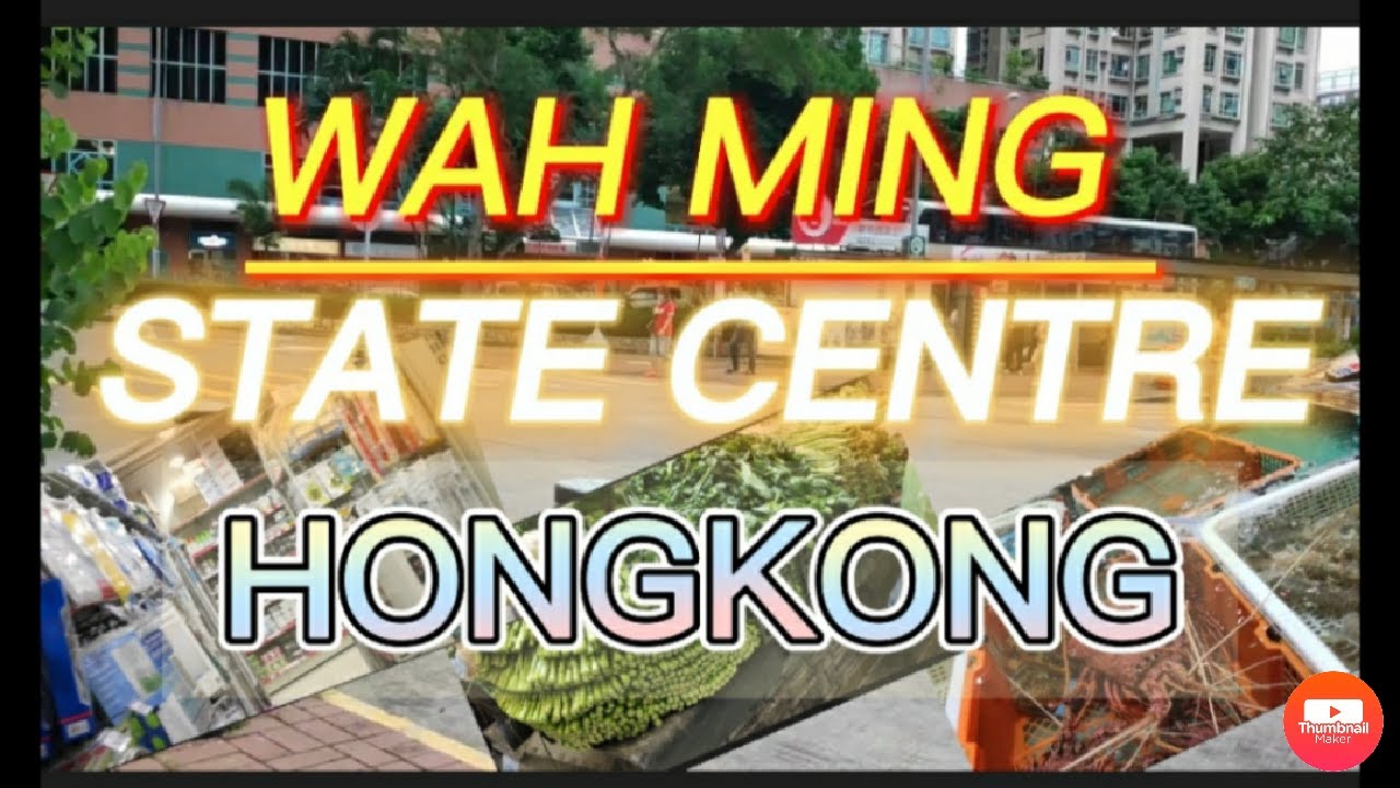 Wah Ming Estate Market/Wah Ming Shopping Centre/Fanling HongKong YouTube