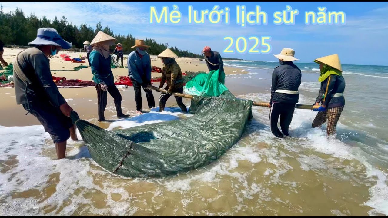 Mẻ lưới rùng lịch sử năm 2025 của ngư dân làng chài Quảng Nam .