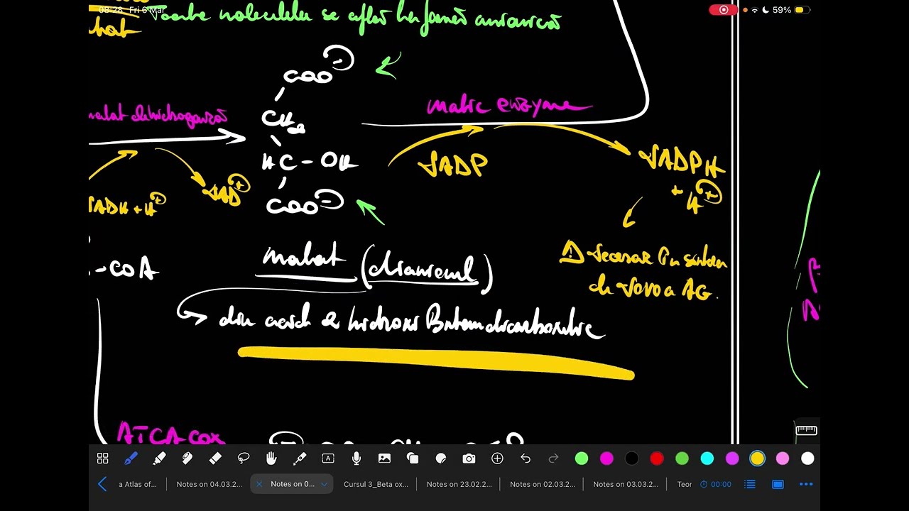 Sinteza de Novo a Acizilor Grasi - Shemele de reacție - Biochimie Medicină 