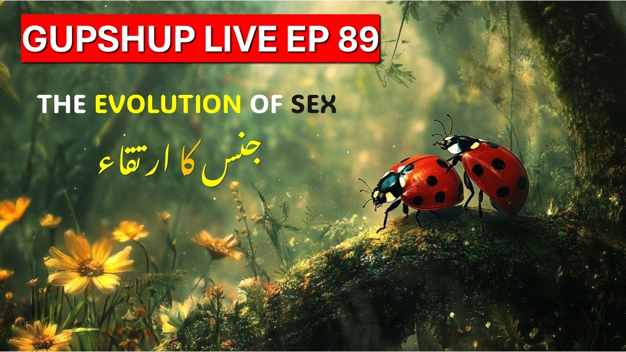 GUPSHUP LIVE EP 89 | Evolution of Sex - YouTube