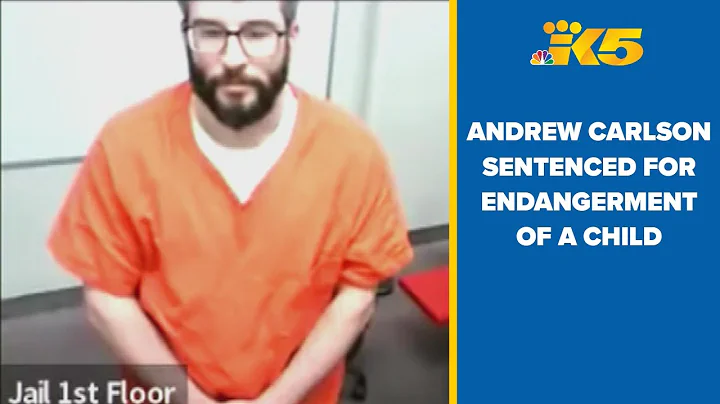 Andrew Carlson sentenced for child endangerment