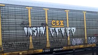 BNSF #704, #7920 lead auto train