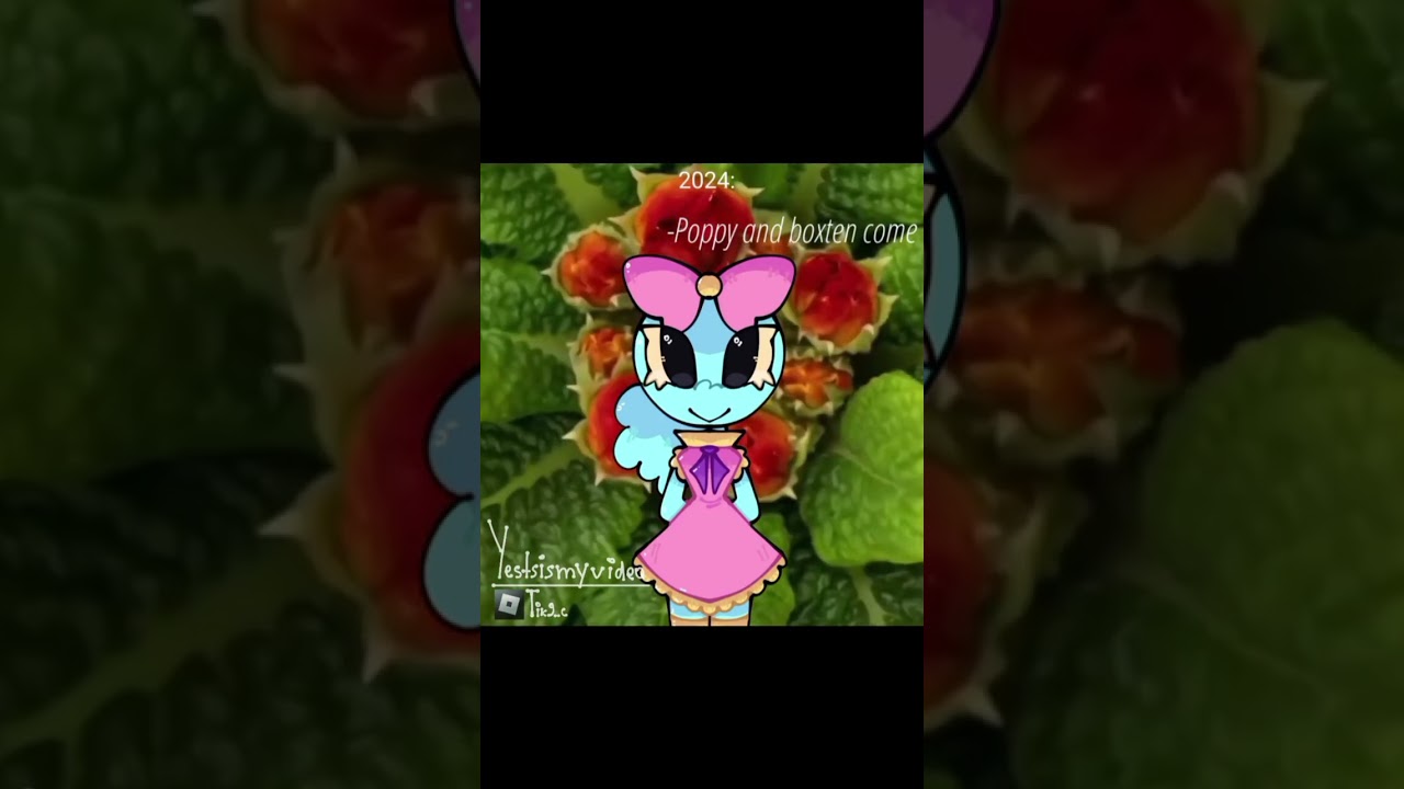 Dandys world problem..||