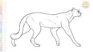 American Cheetah Drawing Easy Miracinonyx Sketches How To Draw An American Cheetah Step By Step