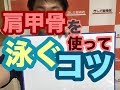 水泳【どうやって肩甲骨を使って泳ぐの?】 肩甲骨が勝手に動いてしまう泳ぎのコツ