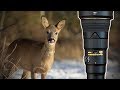 Winter Wildlife Vlog | ROE DEER, KINGFISHER, REDWINGS | 500PF &amp; D850