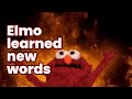 Elmo Is Now A Nazi? Elmo Learned Some New Words Today