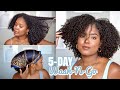 5-Day Wash-N-Go Maintenance Routine! + High Puff Tutorial!!