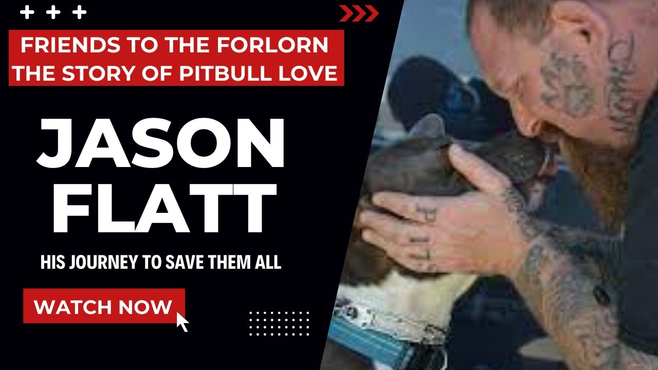 Friends To The Forlorn Jason Flatt YouTube