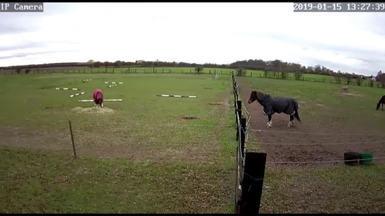 Horse Field Security