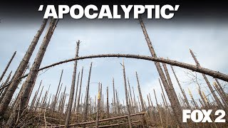 Michigan's Devastating Ice Storm: Looking back at the carnage | Brother Nature