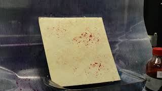 Blood Enhancement - Amido Black