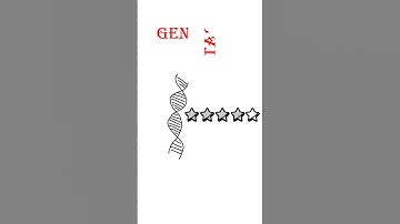 Solve It Before Time Runs Out! | Fast Puzzle Challenge#brainrush #funquiz #braingames #brain #teaser