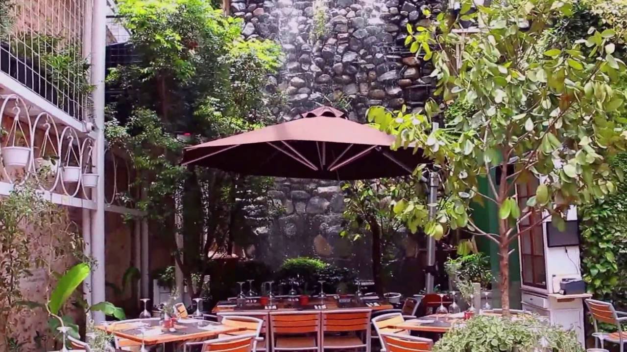 Buche Perico Zona Colonial YouTube