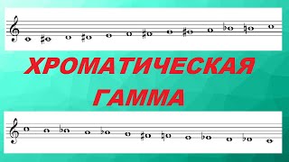 ХРОМАТИЧЕСКАЯ ГАММА: готовимся к экзамену по сольфеджио. Почему именно такие диезы и бемоли?