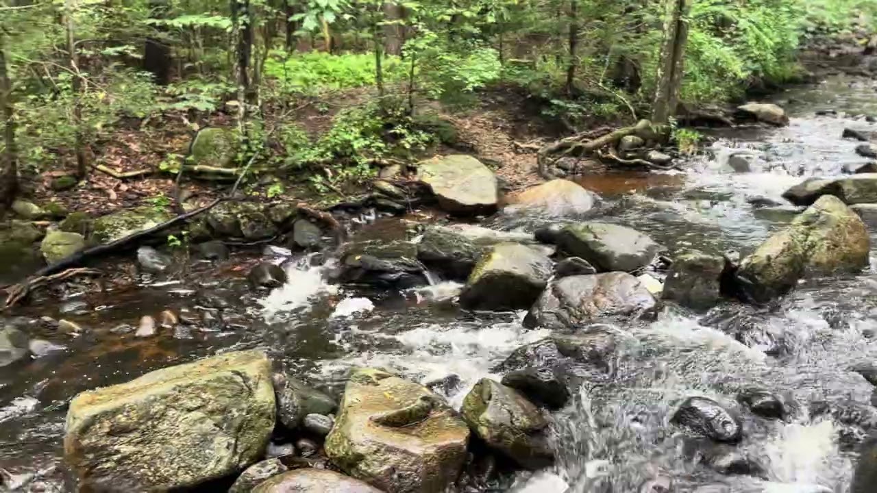 Trapfall Brook in the Willard Brook State Forest, Massachusetts