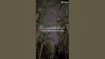 قران كريم بصوت الشيخ ياسر الدوسري #قرآن #اكسبلور #اكسبلورفولو #لايك #اكسبلورر #تيك_توك #فولو