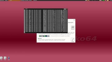 Puppy Linux Slacko 6.3 - 64bits