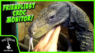 MEET THE FRIENDLIEST CROC MONITOR IN THE WORLD!