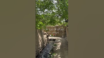🌳🌷 #المملكة_الأردنية_الهاشمية #اكسبلور #لايك #قران_كريم #سورة _الزمر