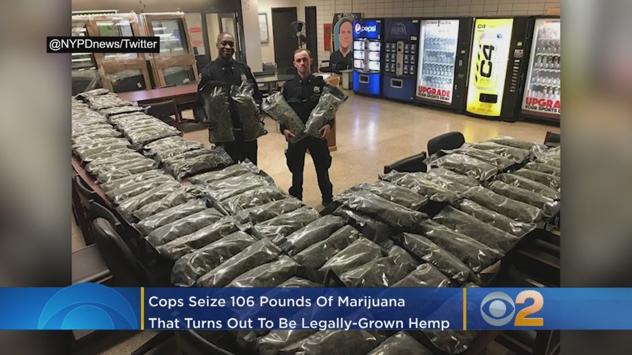 Cops Seize 106 Pounds Of Marijuana… But Turns Out It Wasn’t Marijuana After All