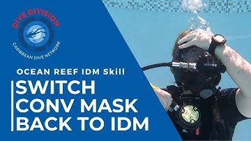 Switch Conv Mask Back to IDM - Ocean Reef Full Face Skill - Tutorial & Training Demo