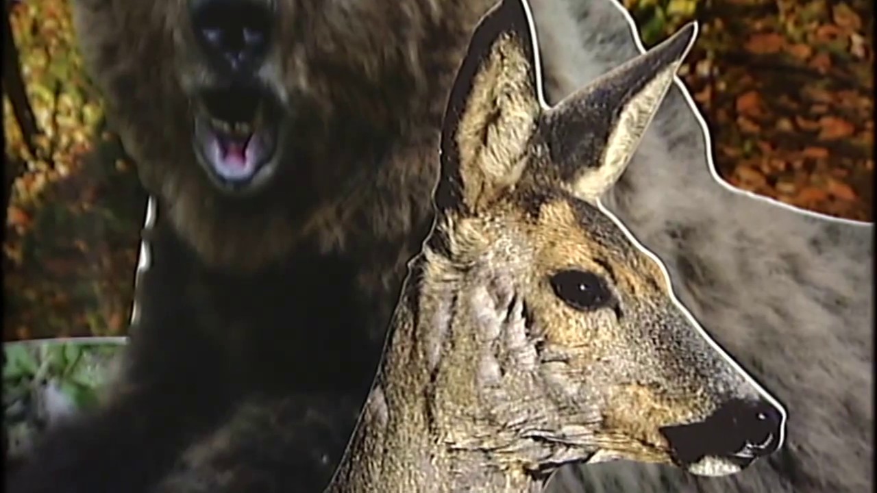 Kulturna baština Srbije: Tara Nacionalni park, prvi deo