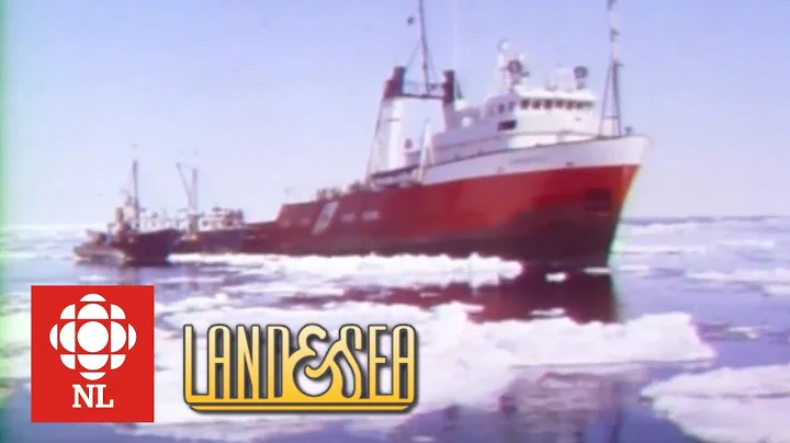 Land & Sea: A rescue aboard the icebreaker The Gre...