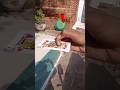 HOW TWO THROW PLAYING CARD ♠️😱#minivlog#shorts