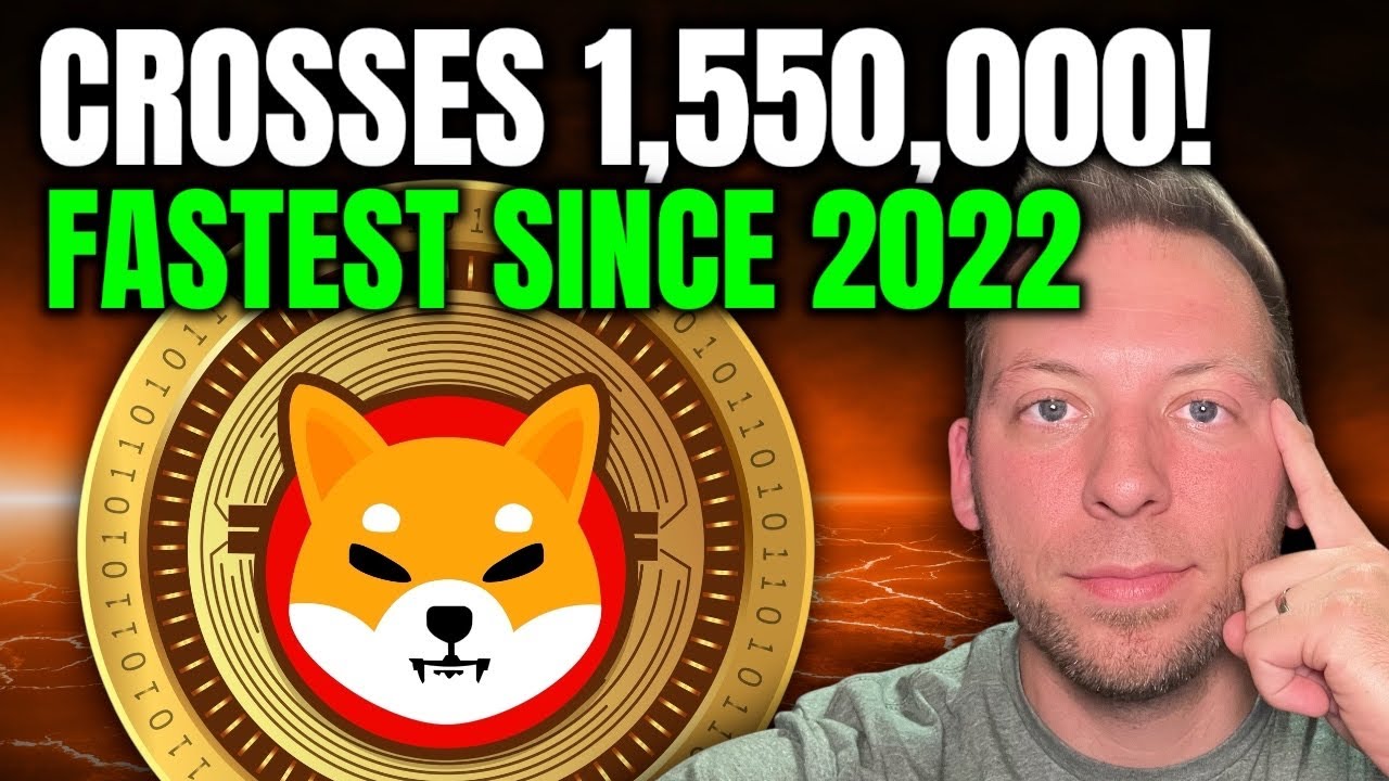 Шиба-ину - преодолела 1 550 000 ярдов!!! Самая быстрая с 2022 года!