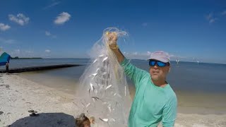 How to throw a cast net, catching bait & catching MONSTER Red Fish
