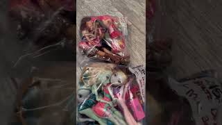 Look What I Found at Thrift Store What to Sell on eBay BOLO Monster High Dolls