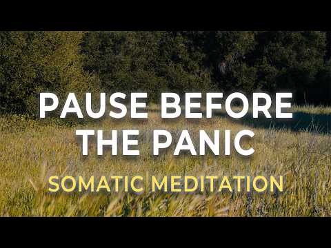 Somatic Anxiety Reset | Calm the Fear in a Few Minutes