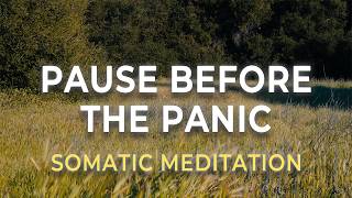 Somatic Anxiety Reset | Calm the Fear in a Few Minutes